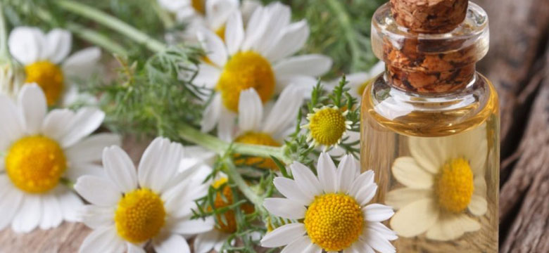 RPR Brighten My Blonde Duo Pack - Purple Toning Illuminates Blonde Grey & Highlights - On Line Hair Depot