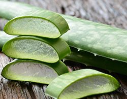 RPR Brighten My Blonde Duo Pack - Purple Toning Illuminates Blonde Grey & Highlights - On Line Hair Depot